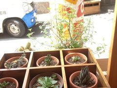 -长颈鹿咖啡(大学路店)