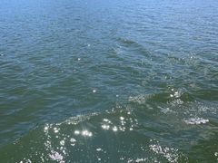 -松花湖风景名胜区