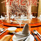 魔都探店💐|杏花又重开 高贵又不贵 💰