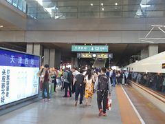 -张树军海鲜(王府壹号店)