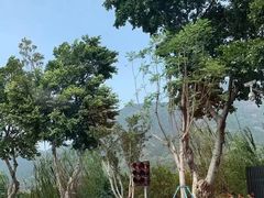 -福建天门山
