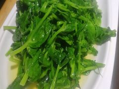 清炒豌豆尖-渝信川菜 · 川味家常菜(长安店)