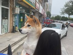 -宠福鑫康馨动物医院·骨科·眼科