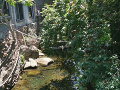 -老张烤羊(王哥庄店)