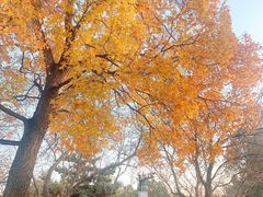 -长辛店二七公园