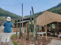 -MOJ coffee(瓯海泽雅水碓坑店)