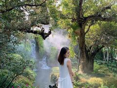 -Chom Cafe and Restaurant