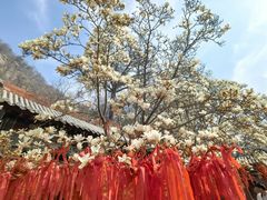 -天津盘山风景名胜区