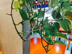 -鑫日千里马朝鲜族小馆(总店)