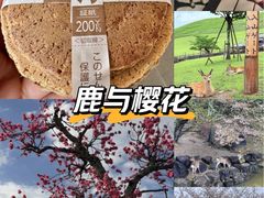 -香雪海饭店中餐厅(人民桥店)