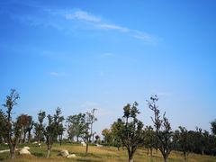 -汉长安城未央宫国家考古遗址公园