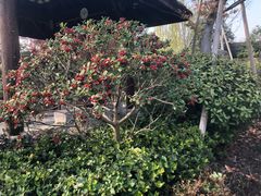 -溧阳天目湖天沐温泉