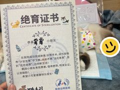 -恒幸动物医院·急重症转诊中心·神经内外科·CT核磁