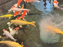 -蔡田福佛跳墙(官驿街店)