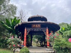 -东湖落雁景区