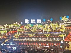 -枇杷园食为鲜火锅(南山店)