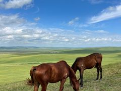 -敕勒川草原文化旅游区