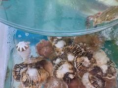 -聚德福海鲜家常菜(刘庄店)