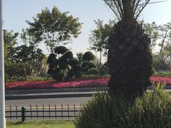-黄金海岸环岛路