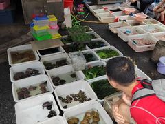 -清平路水族市场