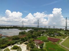 -芒洲湿地公园