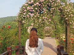 -龙寺生态园