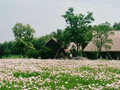-良渚古城遗址公园