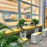 面包脑袋看过来！性价比超高！种类超多