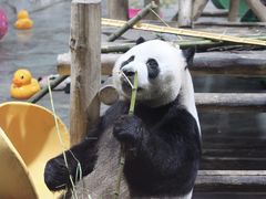 -栾川竹海野生动物园