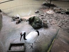 -柳州市动物园