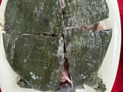 小甲鱼-花苑美食横琴生蚝火锅(拱北粤华路店)