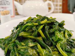 清炒豆苗-瑞福园联谊餐室(茂名南路店)