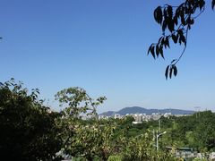 -菊花台公园