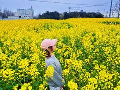 -营地公园·团建拓展·亲子户外(奉贤店)