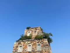 -北京西山国家森林公园