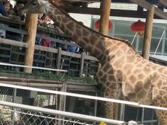 -石家庄市动物园