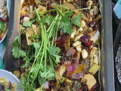 -重庆火锅水库鱼庄(南油店)