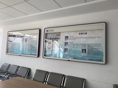 -北京市垂杨柳医院