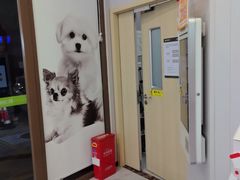 -瑞鹏宠物医院·微创内窥镜·骨外科·牙科(翠竹分院)