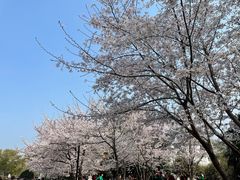 -堤角公园