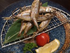 盐烤多春鱼-一豚轩·烧鸟·豚骨拉面(五四路店)