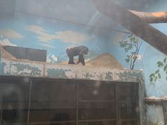 -石家庄市动物园