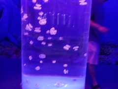 -金铂广场(龙归店)