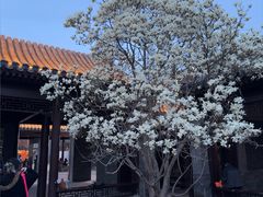 -新奥购物中心