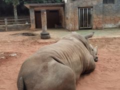 -昆明动物园