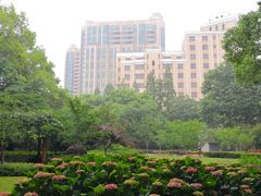 -徐家汇源景区-衡山公园