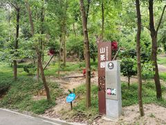 -中山市树木园