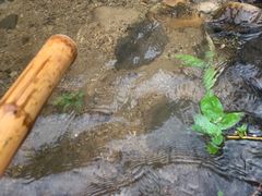 -石牛山-石龙溪漂流