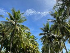 -三亚南山文化旅游区