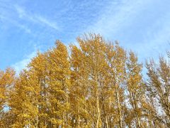 -野鸭湖国家湿地公园